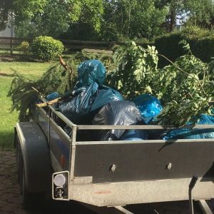 Entsorgung von Grünabfällen